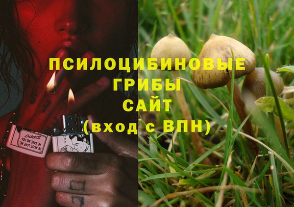 mdpv Арсеньев